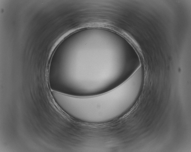 X0000087541340200704270914