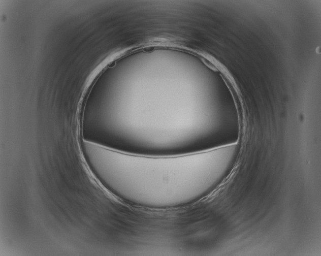 X0000087541341200704270914