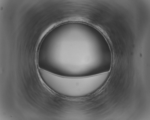 X0000087541342200704270914