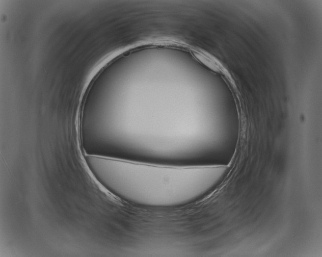 X0000087541343200704270914