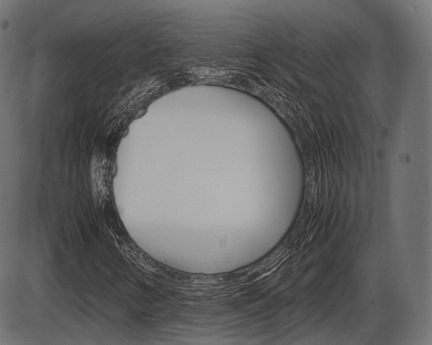X0000087541346200704270913