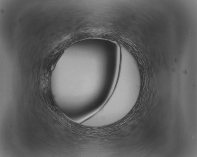 X0000087541349200704270913