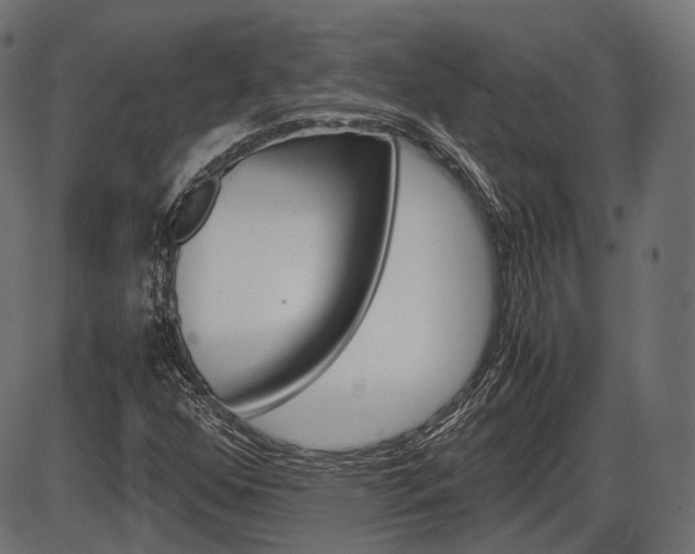 X0000087541352200704270913