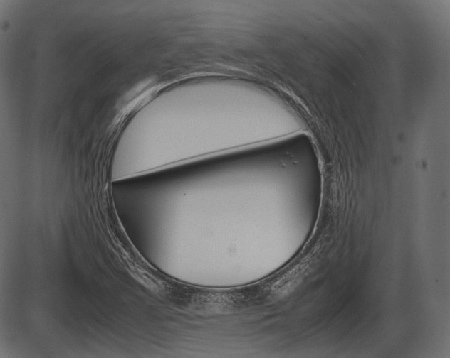 X0000087541355200704270913