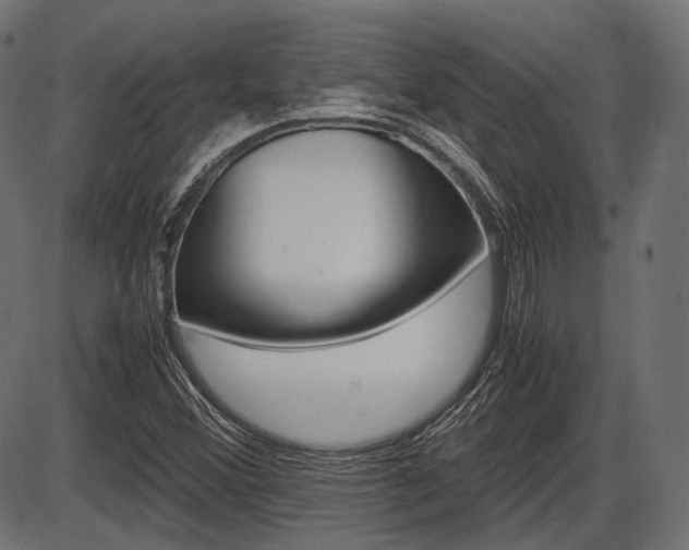 X0000087541356200704270913