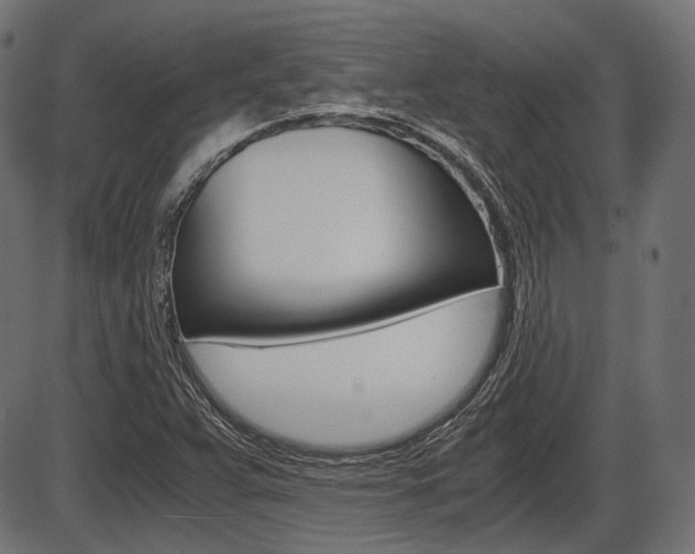 X0000087541359200704270913