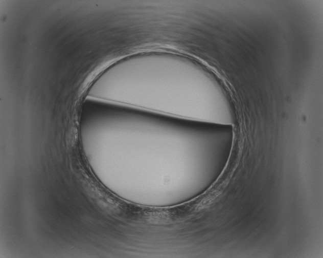 X0000087541363200704270913