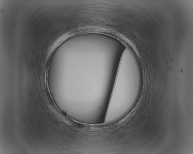 X0000087541365200704270913