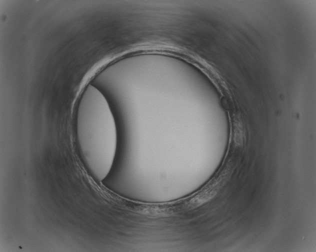 X0000087541366200704270913