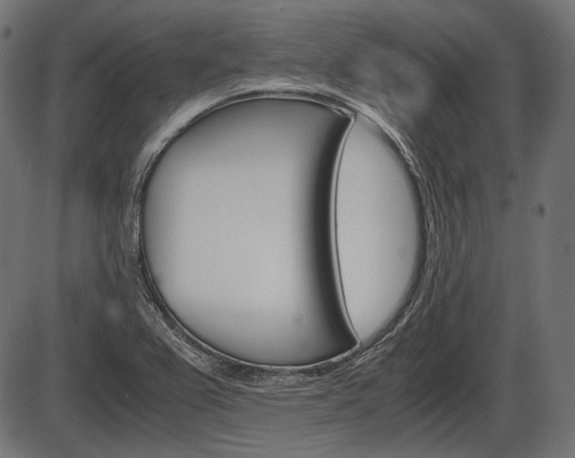 X0000087541367200704270913