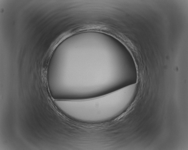 X0000087541369200704270913