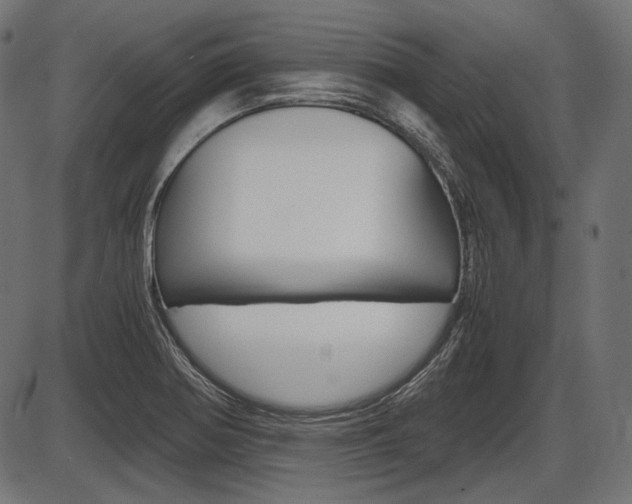 X0000087541370200704270913