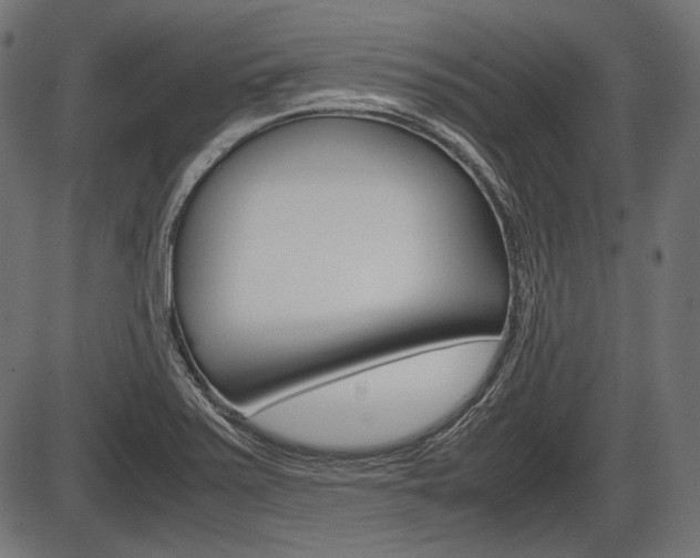 X0000087541371200704270913