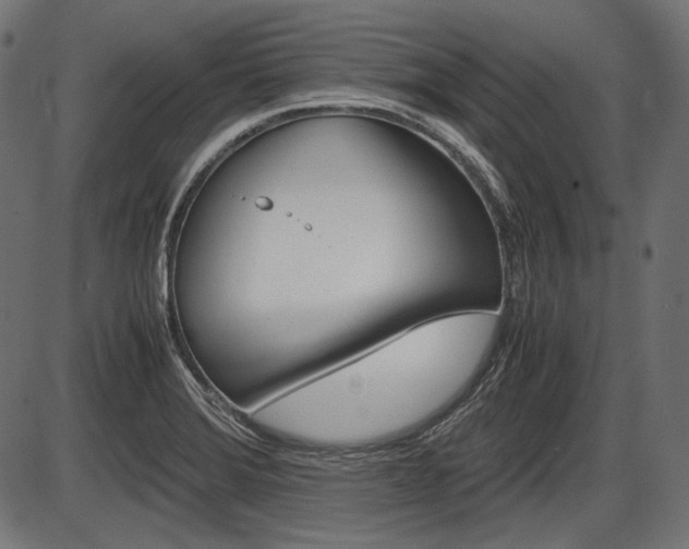 X0000087541372200704270913