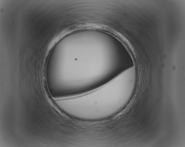 X0000087541373200704270913