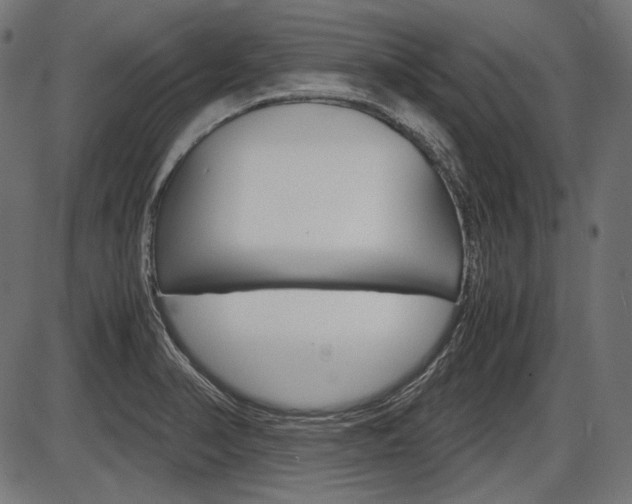 X0000087541374200704270913