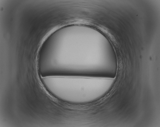 X0000087541375200704270913