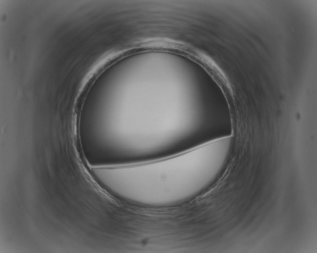 X0000087541376200704270913
