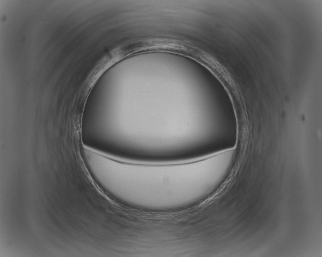 X0000087541377200704270913