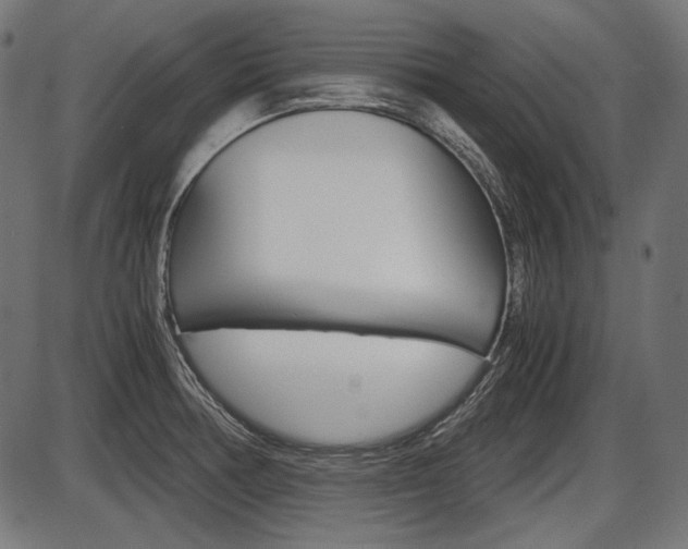X0000087541378200704270913