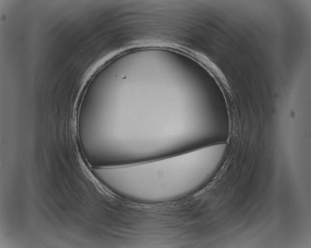 X0000087541380200704270913