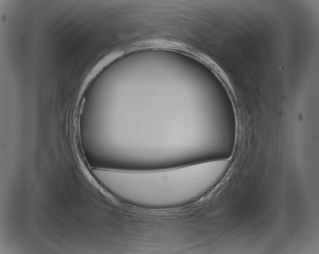 X0000087541381200704270913