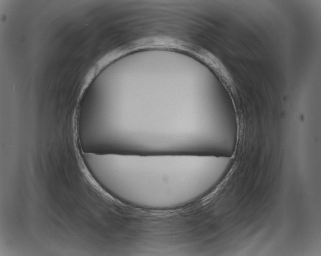 X0000087541382200704270913
