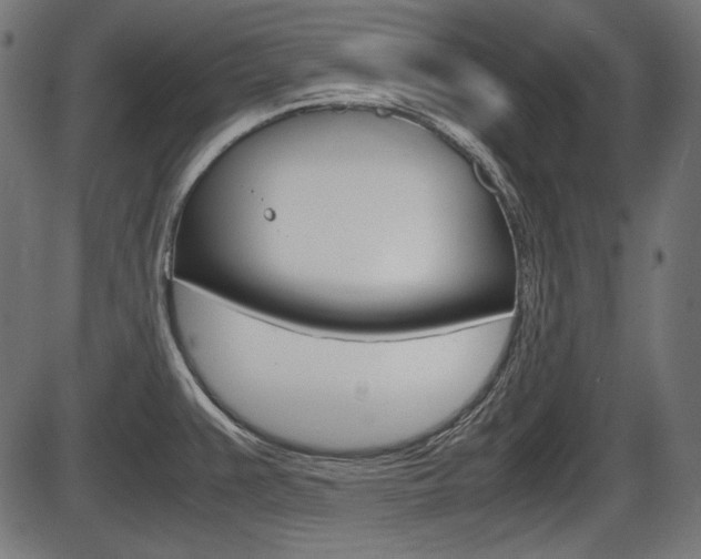 X0000087541383200704270913