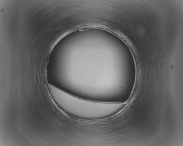 X0000087541385200704270913