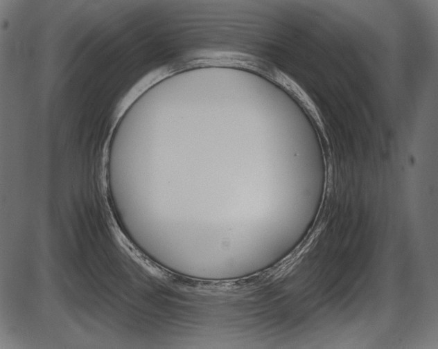 X0000087541386200704270913