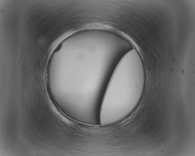 X0000087541387200704270913