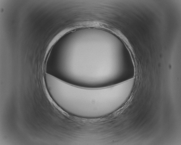 X0000087541389200704270913