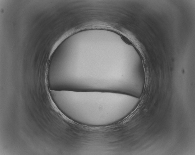 X0000087541390200704270913