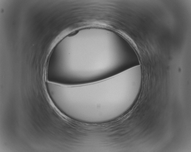 X0000087541391200704270913