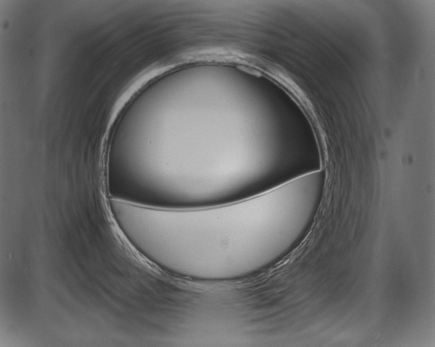 X0000087541392200704270913