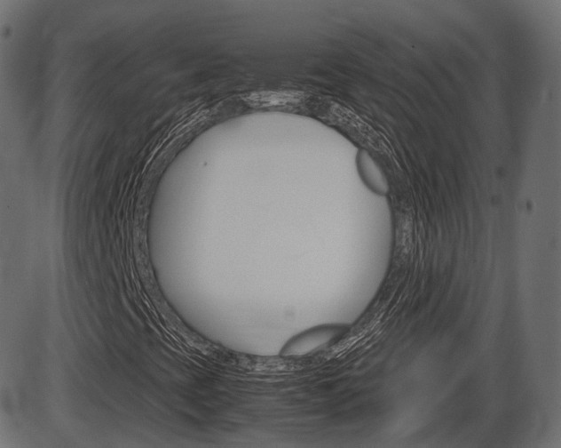 X0000087541393200704270912
