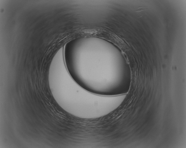X0000087541394200704270912