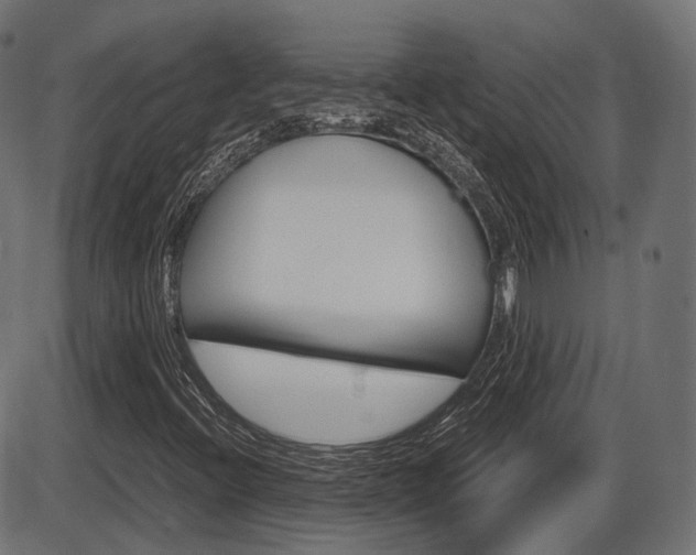 X0000087541396200704270912