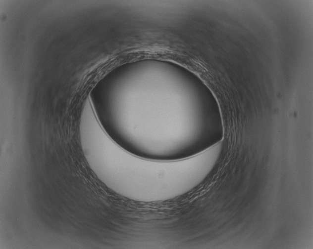 X0000087541398200704270912
