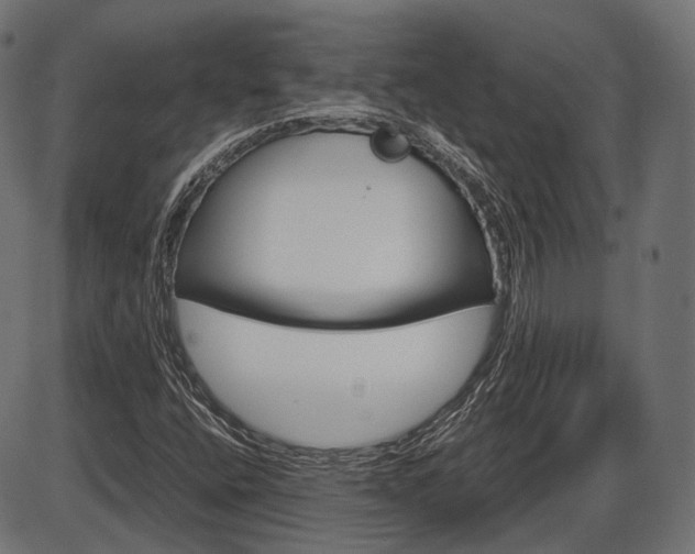 X0000087541400200704270912