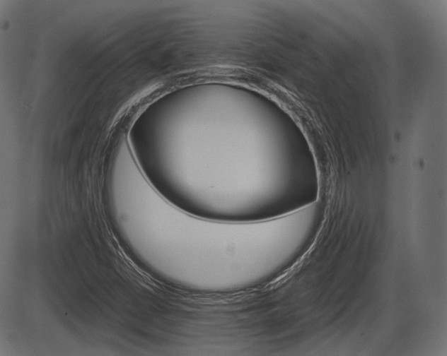 X0000087541402200704270912