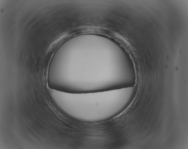 X0000087541403200704270912