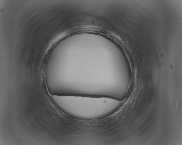 X0000087541405200704270912