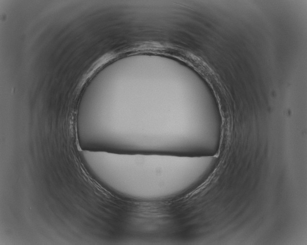 X0000087541409200704270912