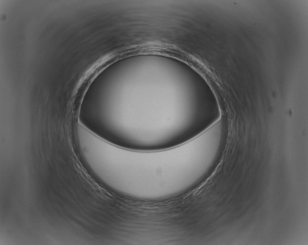 X0000087541410200704270912