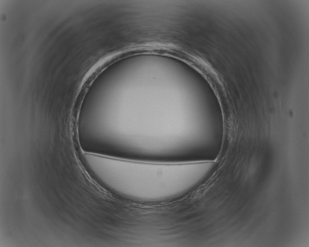 X0000087541412200704270912