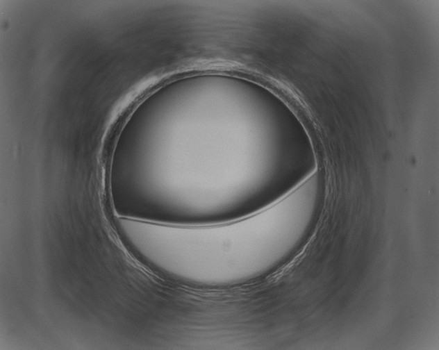 X0000087541414200704270912