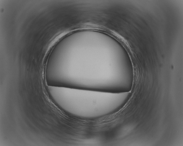 X0000087541415200704270912