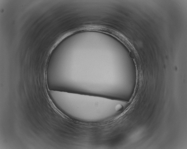 X0000087541417200704270912