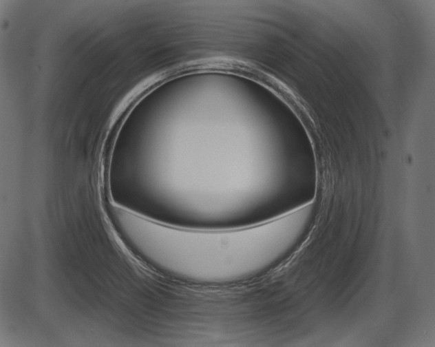 X0000087541418200704270912